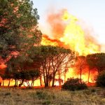 A fire started in the hills of Gigaro in La Croix-Valmer near Saint Tropez. The fire was made worse by violent winds spreading it.