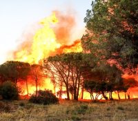 Пожары у Франції дістають поступно під контролю