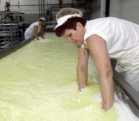 Словацькы млекарї будуть мочі вывожати свої выробкы до Чіны