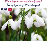 Граме на желаня / Hrame na želaňa 1. 3. 2020