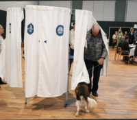 В Данії голосують в передчасных вольбах